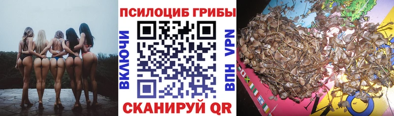 Галлюциногенные грибы Psilocybe  закладка  ОМГ ОМГ онион  площадка Telegram  Нижневартовск 