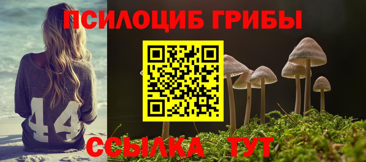 Галлюциногенные грибы Psilocybe Нижневартовск