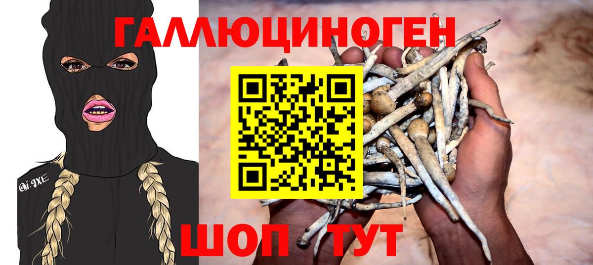 Псилоцибиновые грибы прущие грибы  Вход с VPN  купить наркотик  Нижневартовск 